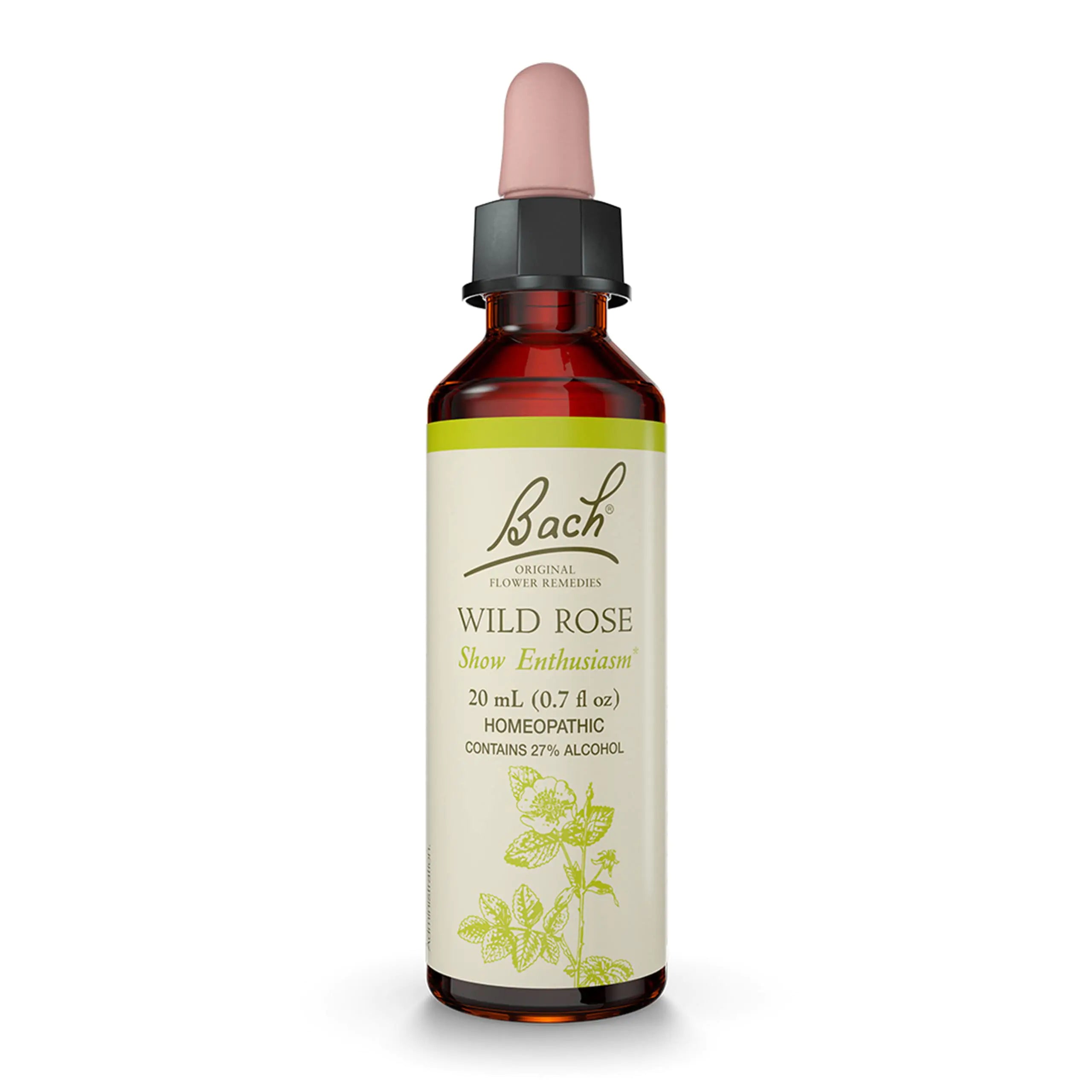 Bach Original Flower Remedies Wild Rose for Enthusiasm Natural Homeopathic Flower Essence Holistic Wellness and Stress Relief Vegan 20mL Dropper