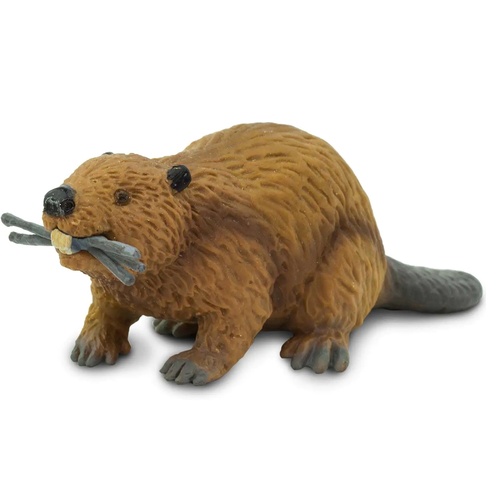Safari Ltd. Beaver Figurine - Detailed 4" Plastic Model Figure - Fun Educational Play Toy for Boys Girls & Kids Ages 3+