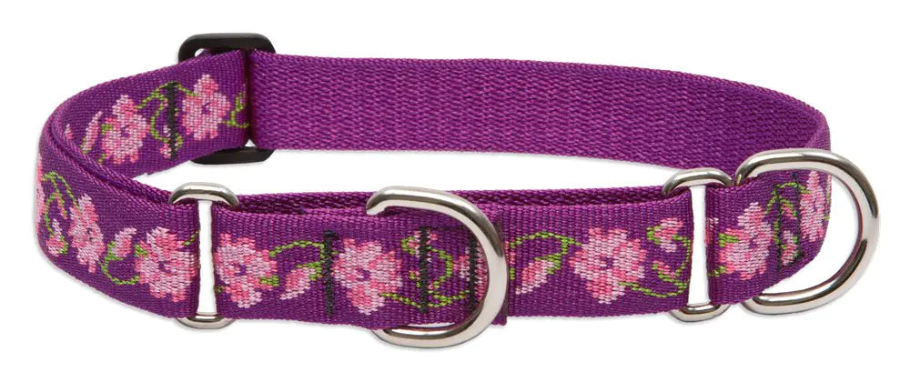 LupinePet Originals 1" Rose Garden 15-22" Martingale Collar for Medium and Larger Dogs