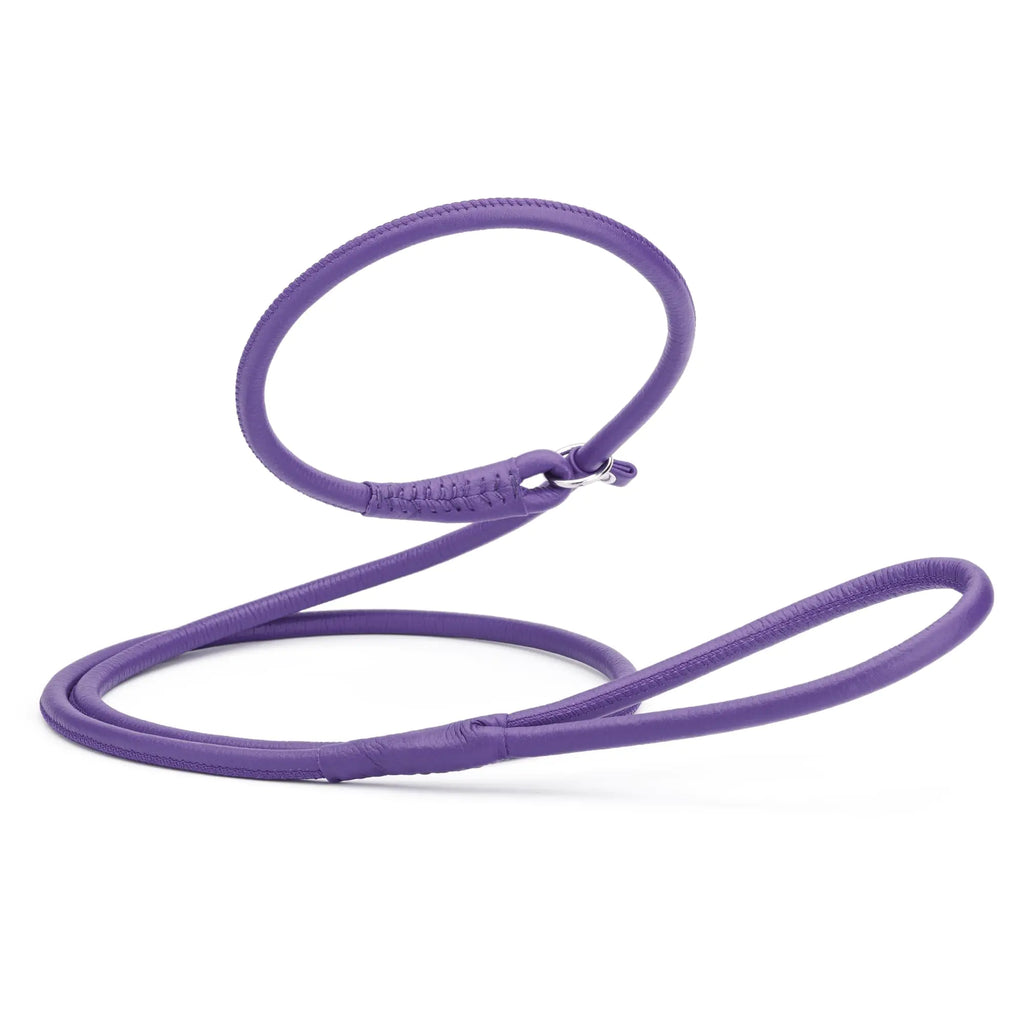 Dogline Rolled Leather Dog Slip Lead - for Small Medium and Large Breeds - Soft and Padded Lead Luxury Design - Purple - 3/8in W x 3ft L