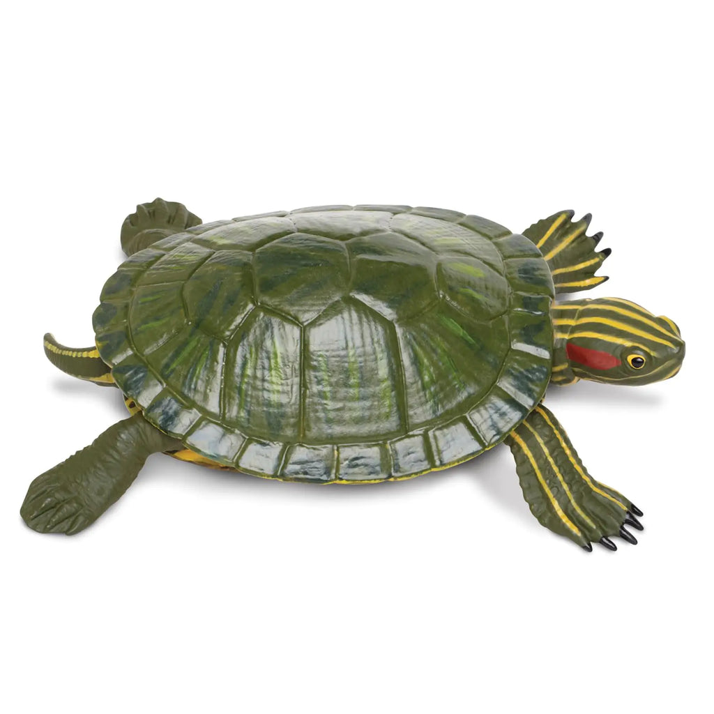 Safari Ltd. Red-Eared Slider Turtle Figurine - Realistic 5.25" Model Figure - Educational Toy for Boys Girls and Kids Ages 18M+