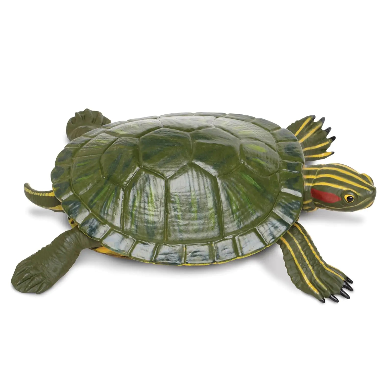Safari Ltd. Red-Eared Slider Turtle Figurine - Realistic 5.25" Model Figure - Educational Toy for Boys Girls and Kids Ages 18M+
