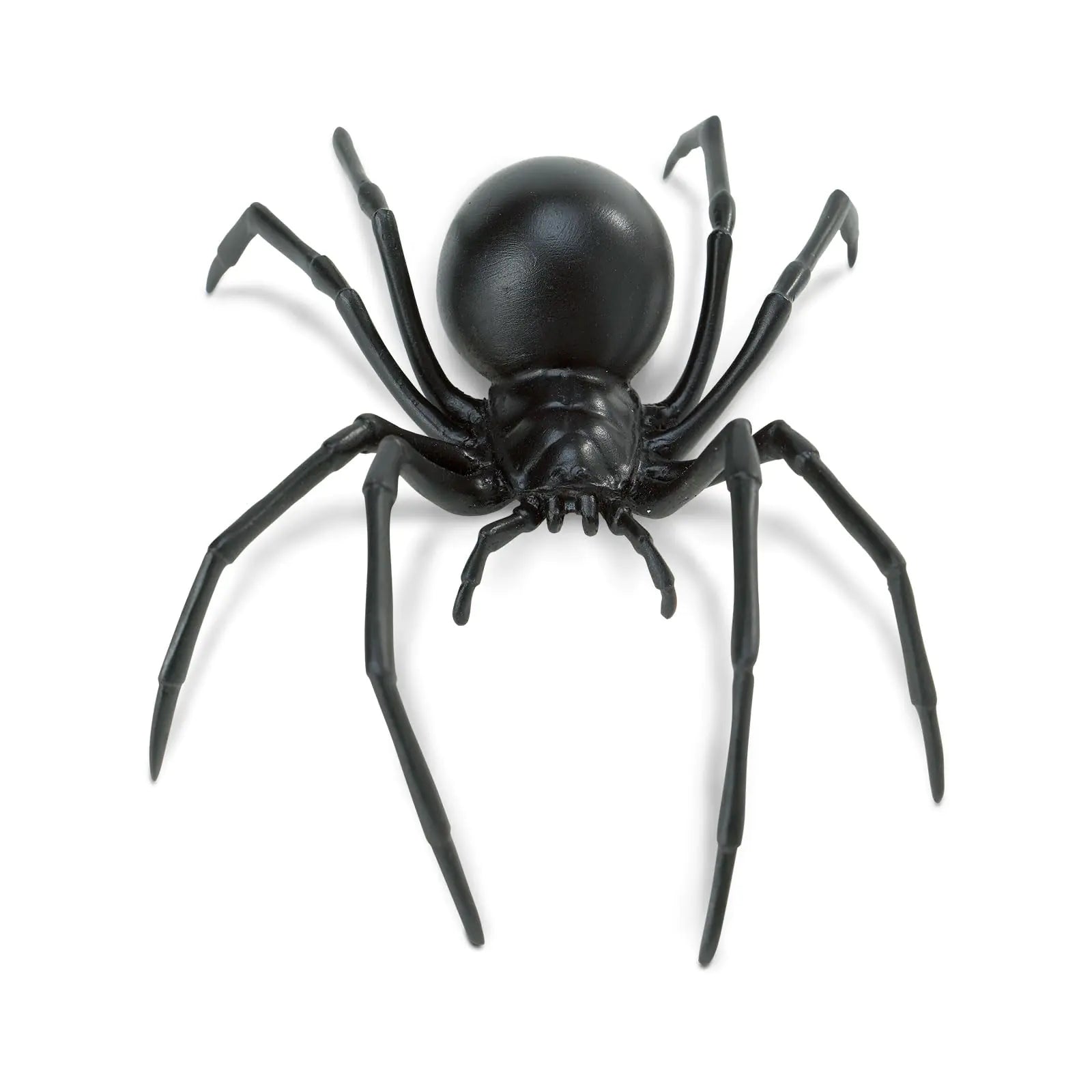 Safari Ltd. Black Widow Spider Figurine - Realistic 6.5" Arachnid Figure - Educational Toy for Boys Girls and Kids Ages 3+