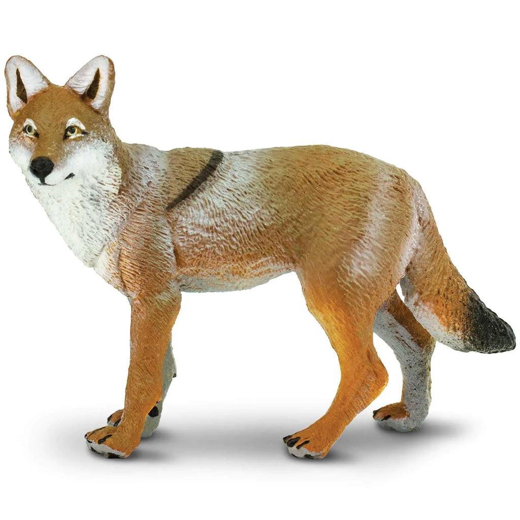 Safari Ltd. Coyote Figurine - Lifelike 3.75" Model Figure - Educational Toy for Boys Girls and Kids Ages 1+