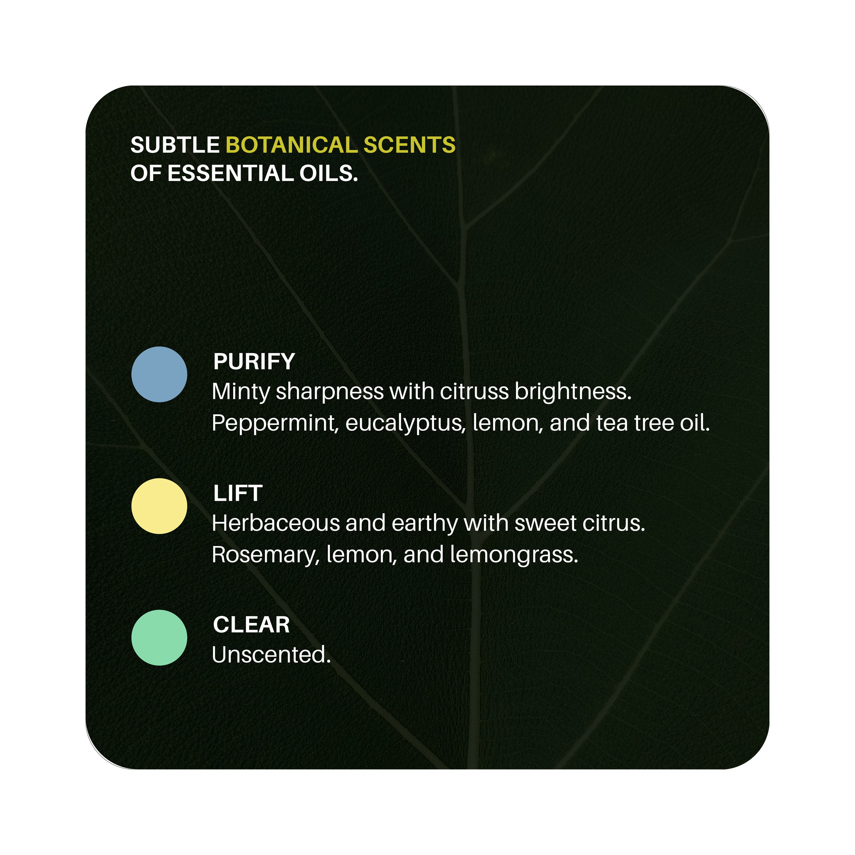 Surface Cleaner - Plastic Bottle (16oz)