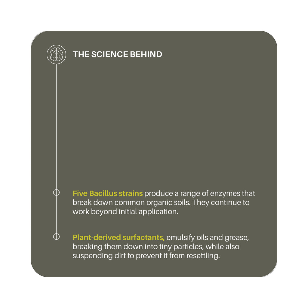 Surface Cleaner Concentrate - Refill in Aluminum Bottle