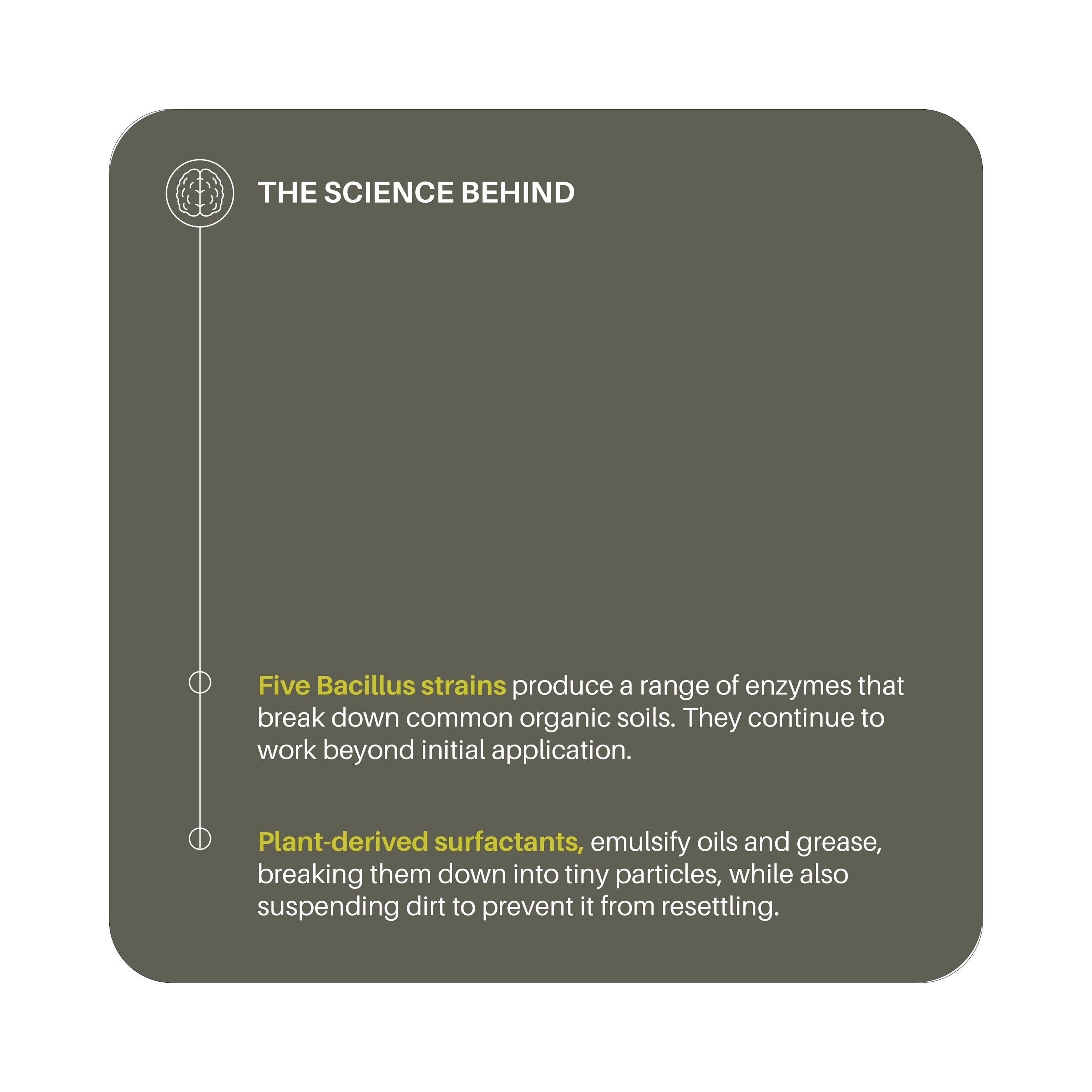 Surface Cleaner Concentrate - Refill in Aluminum Bottle