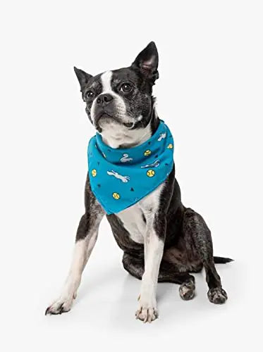Insect Shield LP-1001-TEAL-OS: Ball & Squirrel Bandana Teal One Size