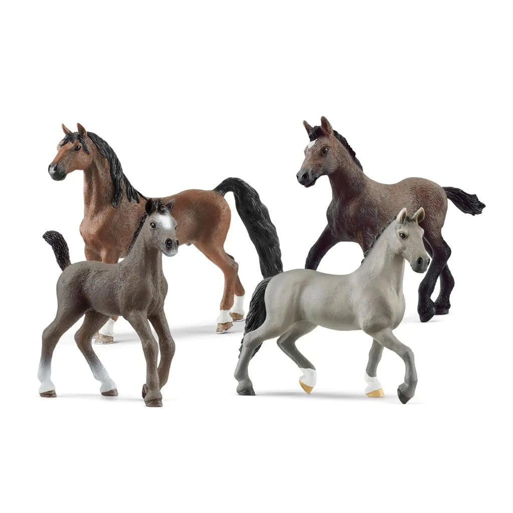 Schleich Horse Club 4-Piece Horse Collector Horse Toys & Horse Gifts for Girls Ages 5+