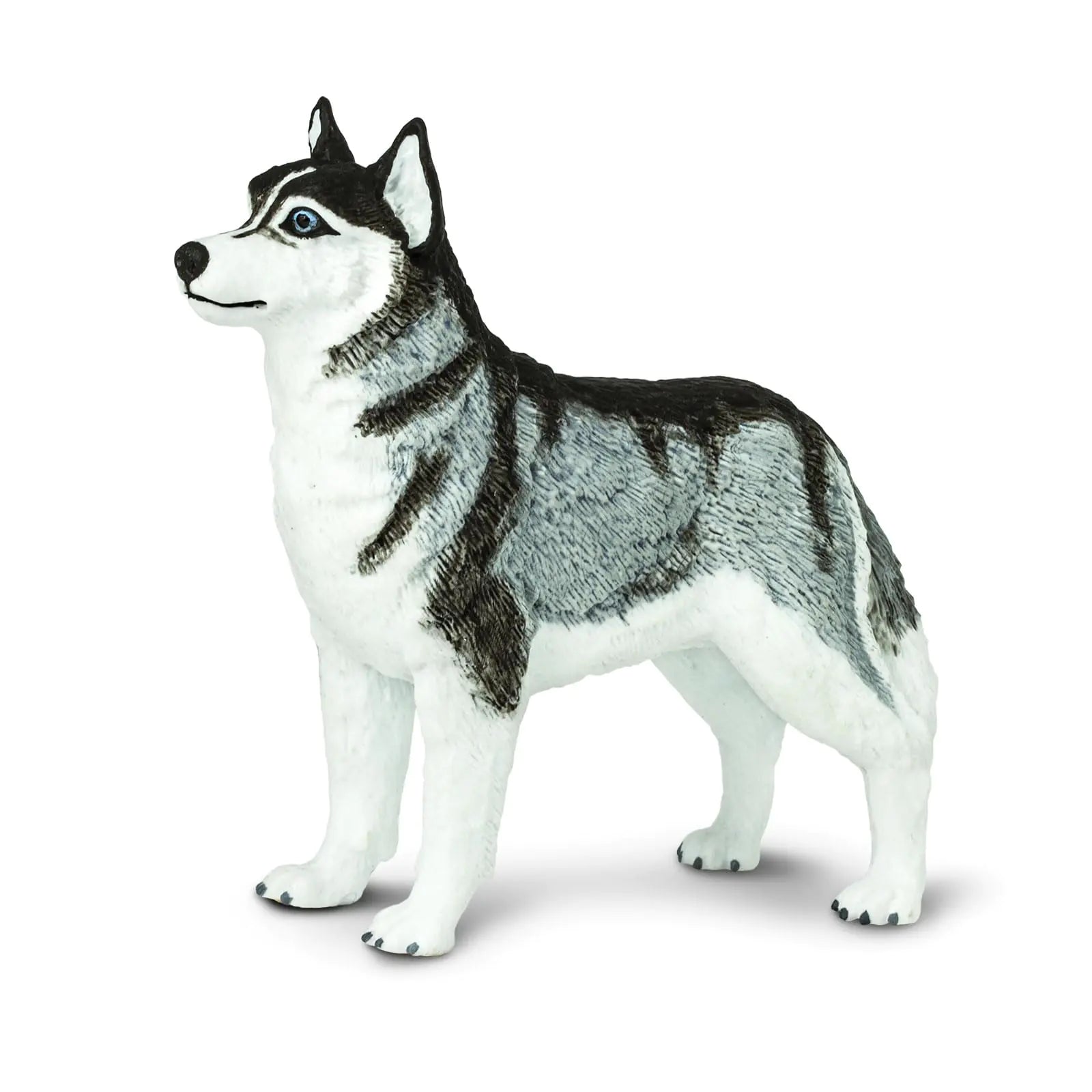 Safari Ltd. Siberian Husky Figurine - Detailed 3.25" Plastic Model Figure - Fun Educational Play Toy for Boys Girls & Kids Ages 3+