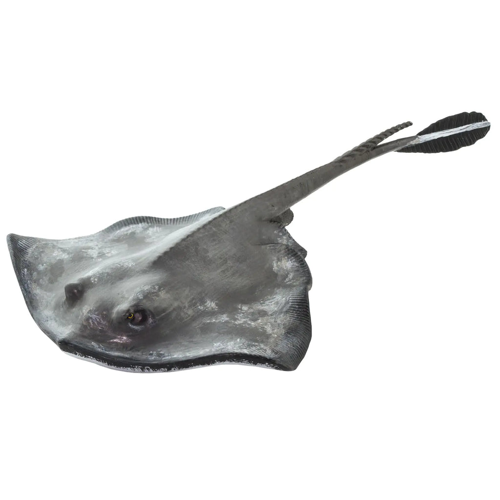 Safari Ltd. Common Stingray Figurine - Lifelike 7" Model Figure - Educational Toy for Boys Girls and Kids Ages 3+