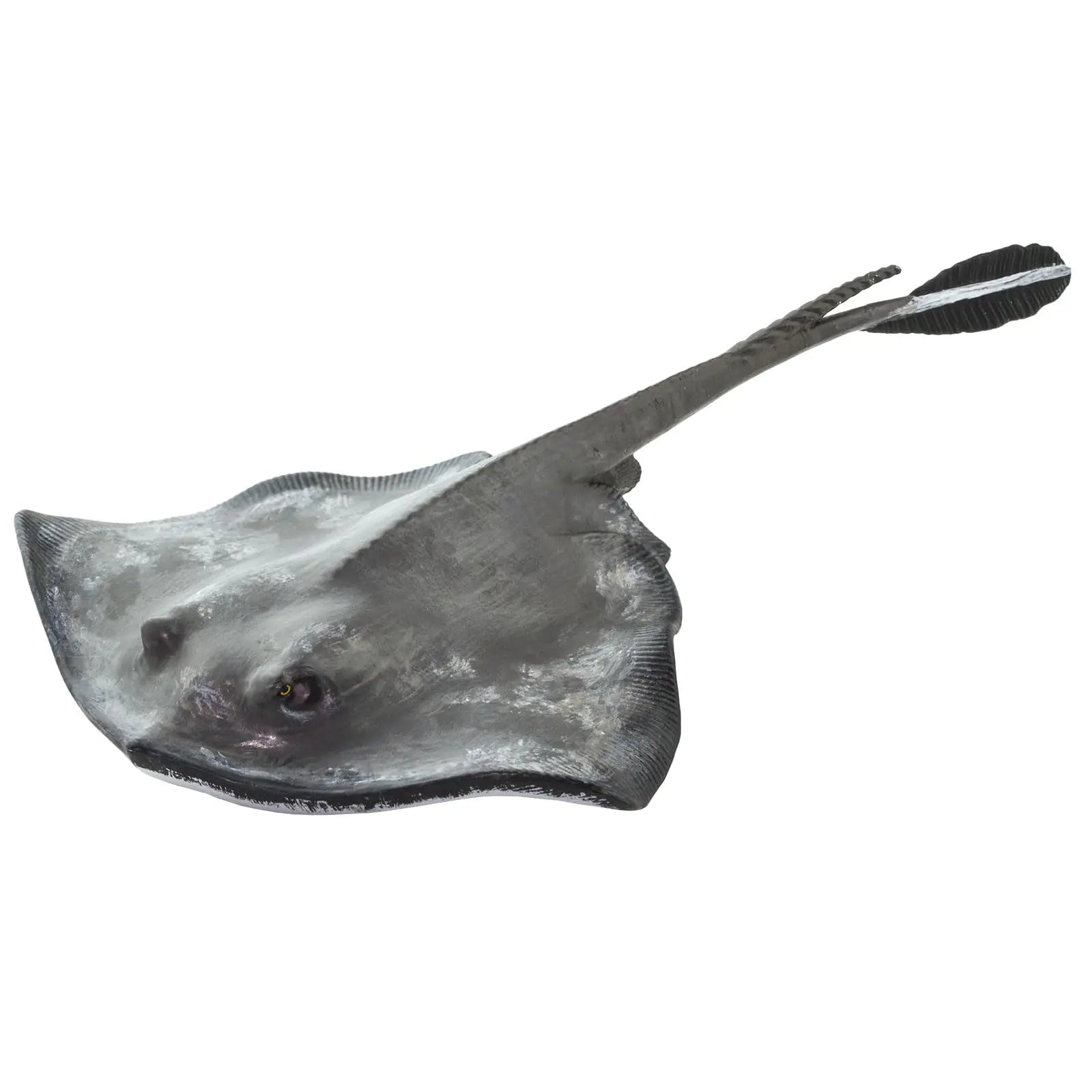 Safari Ltd. Common Stingray Figurine - Lifelike 7" Model Figure - Educational Toy for Boys Girls and Kids Ages 3+