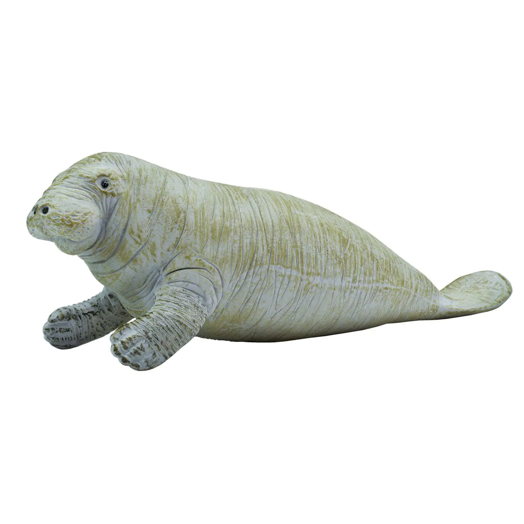 Safari Ltd. Manatee Figurine - Detailed 6" Plastic Model Figure - Fun Educational Play Toy for Boys Girls & Kids Ages 3+